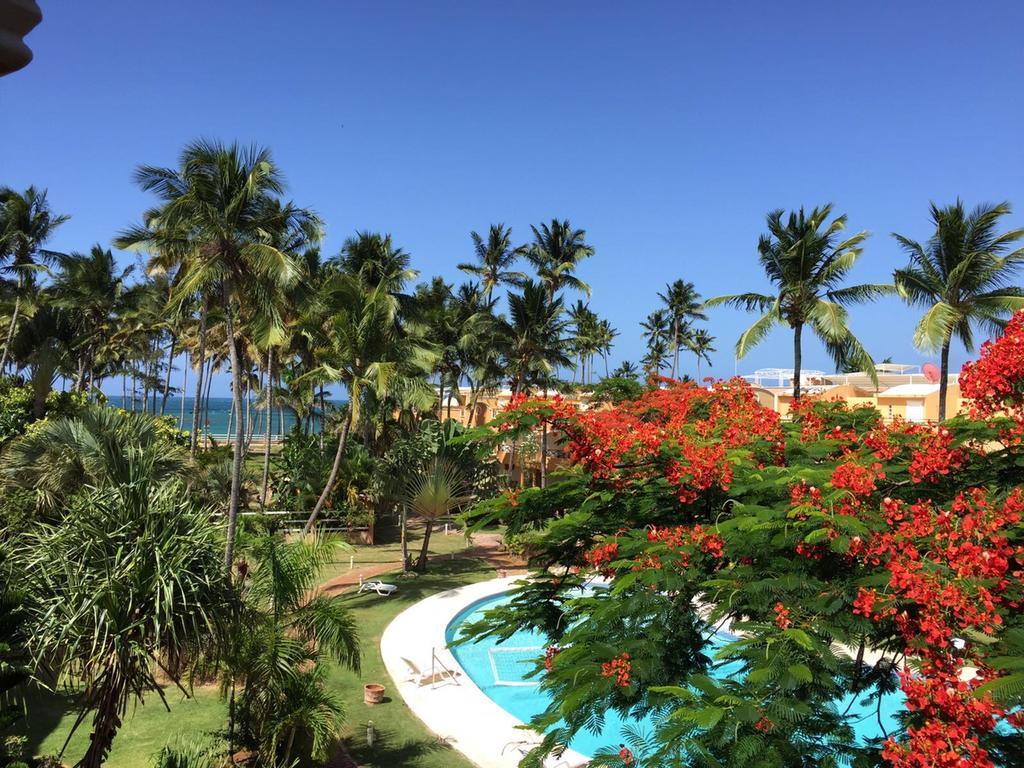 Don Cesar Aparthotel Las Terrenas Exterior photo